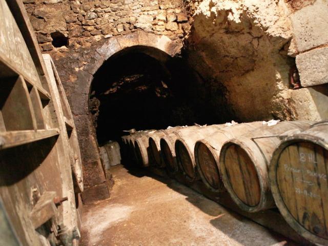 Caves Viticoles