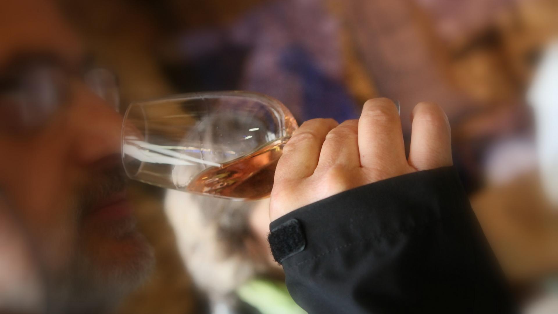 Dégustation vin AOC Coteaux du Vendômois