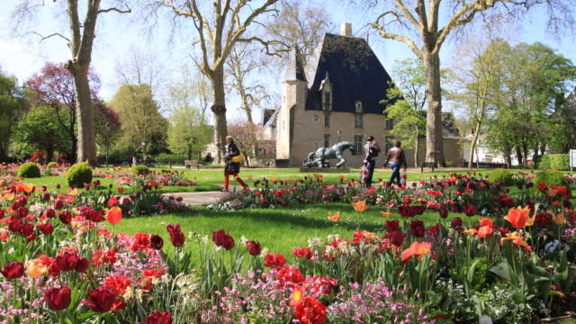Fleurs de printemps dans le parc devant l'Hôtel de Ville de Vendôme