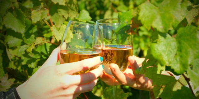 Mise en scène, deux verres de vin parmis des feuilles de vignes
