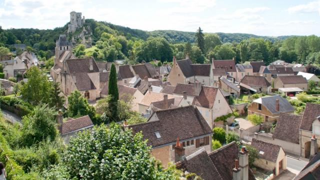 Lavardin [les Amis De Lavardin]