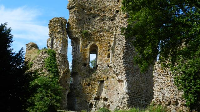 Vestige d'un château