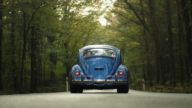 voiture-foret-pixabay.jpg