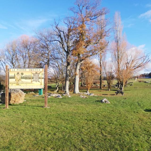 Pierres et mégalithes en pleine campagne.