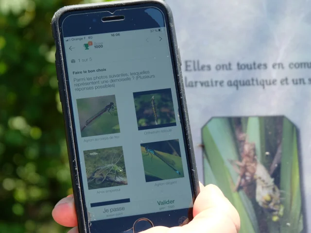 Circuit Guidigo Saint Firmin Des Prés