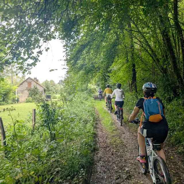 Cyclistes de dos dans un chemin